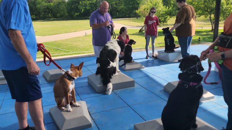 Goode Dog Training - ,