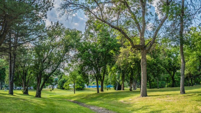 Wayland Park - Gordon, NE