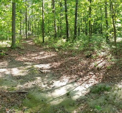 Trail Junction - Gordonsville, VA