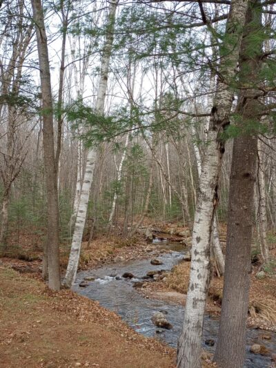 Moose Brook Park - Gorham, NH