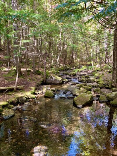 Moose Brook State Park - Gorham, NH