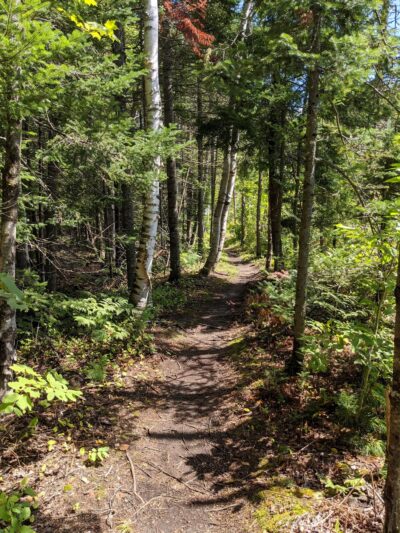 Moose Brook State Park - Gorham, NH