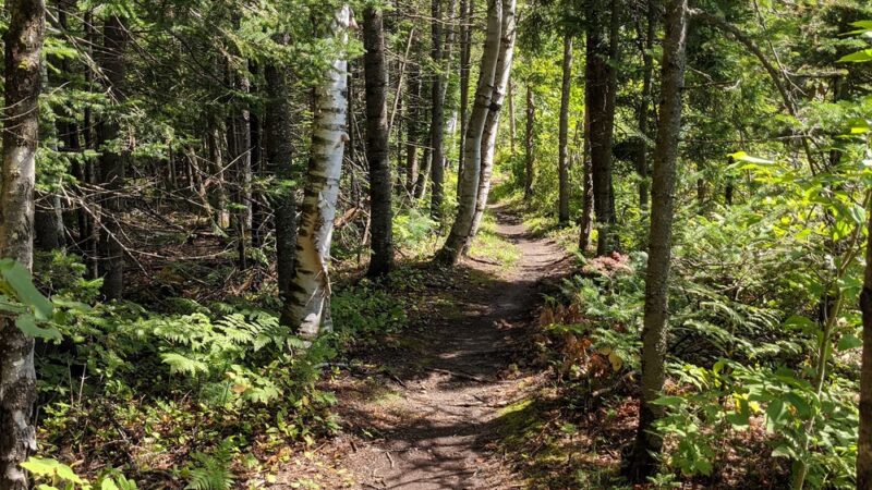 Moose Brook State Park - Gorham, NH