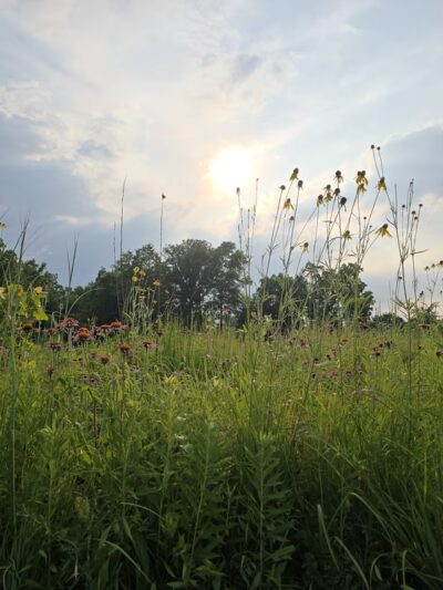 Jack R.Harris Park - Grabill, IN
