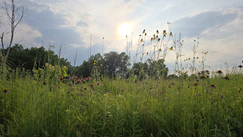 Jack R.Harris Park - Grabill, IN