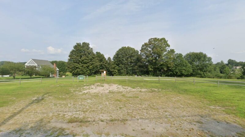 Hennessy Conservation Area - Grafton, MA