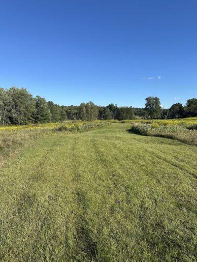 Hennessy Conservation Area - Grafton, MA