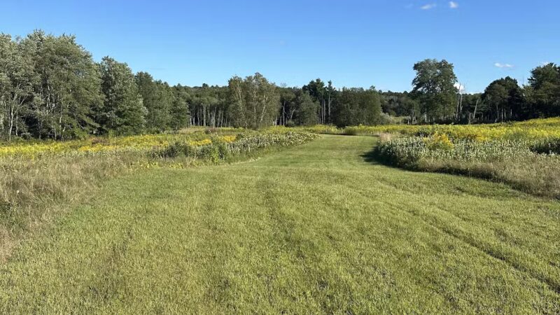Hennessy Conservation Area - Grafton, MA