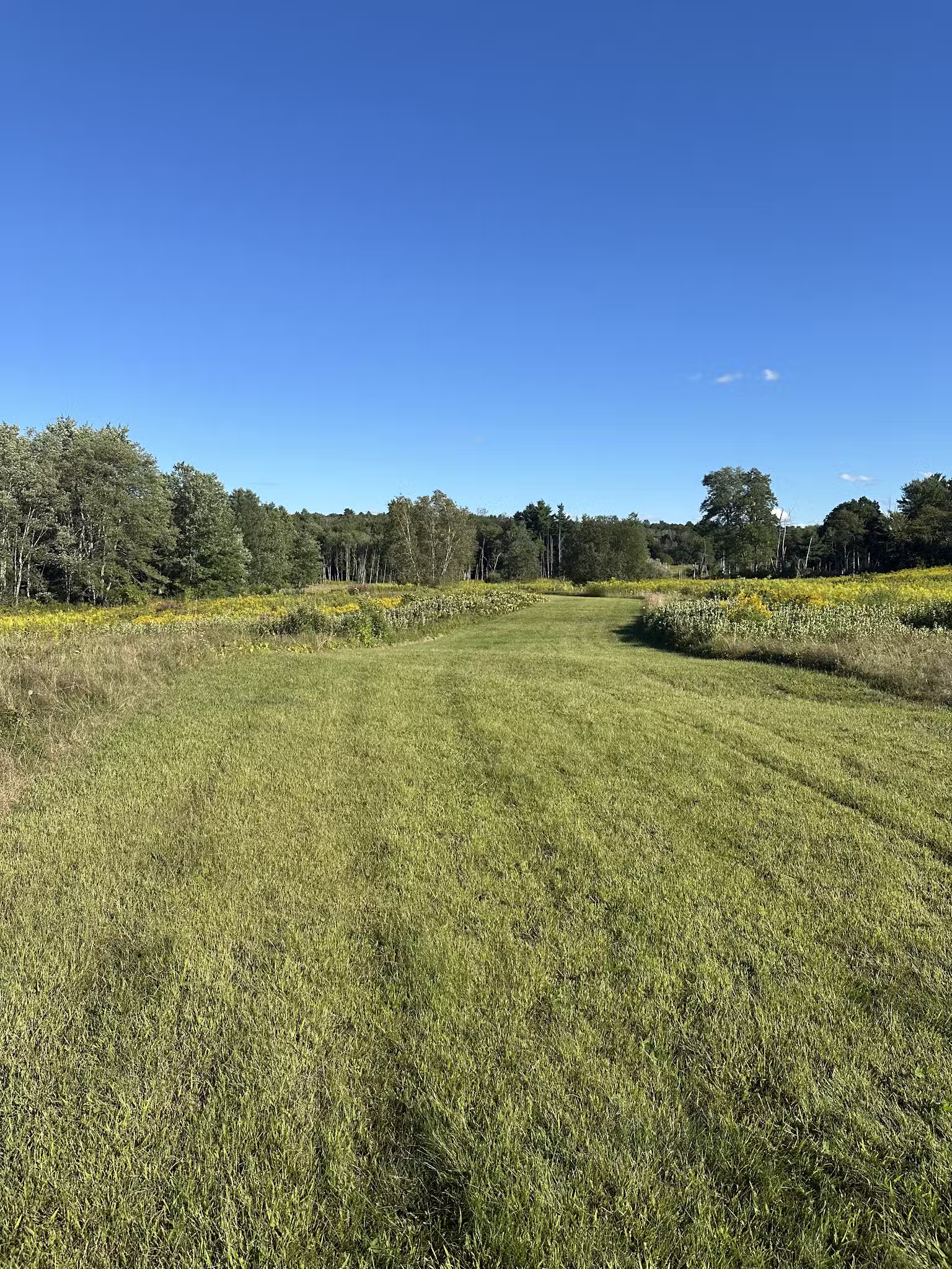 Hennessy Conservation Area - Grafton, MA