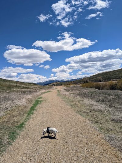 Granby Trails - Granby, CO