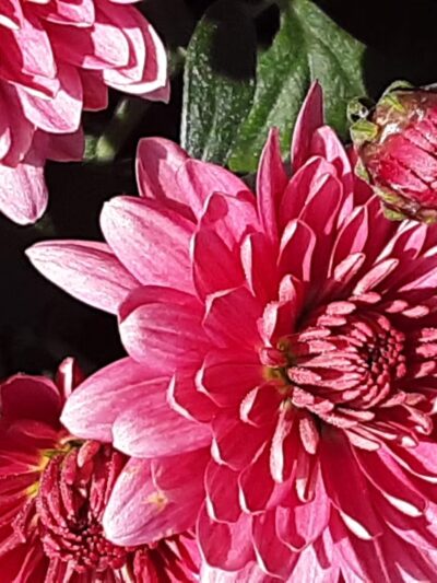 Kiwanis Park - Grand Forks, ND