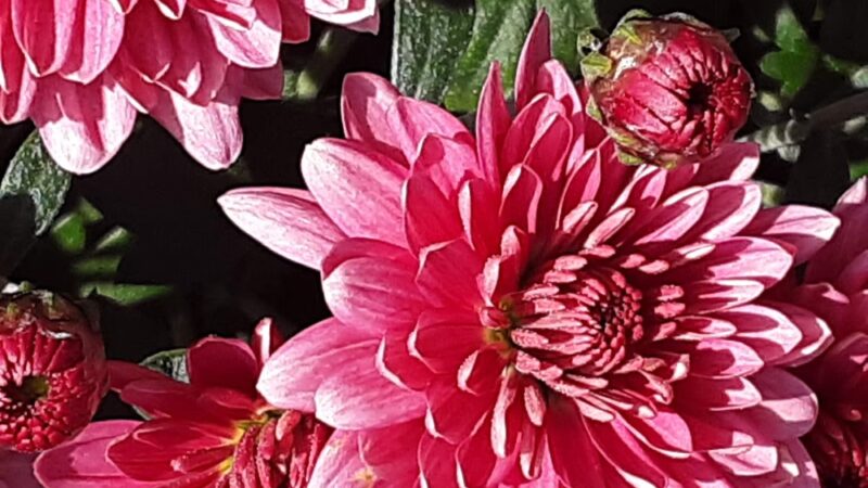 Kiwanis Park - Grand Forks, ND