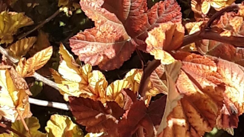 Kiwanis Park - Grand Forks, ND