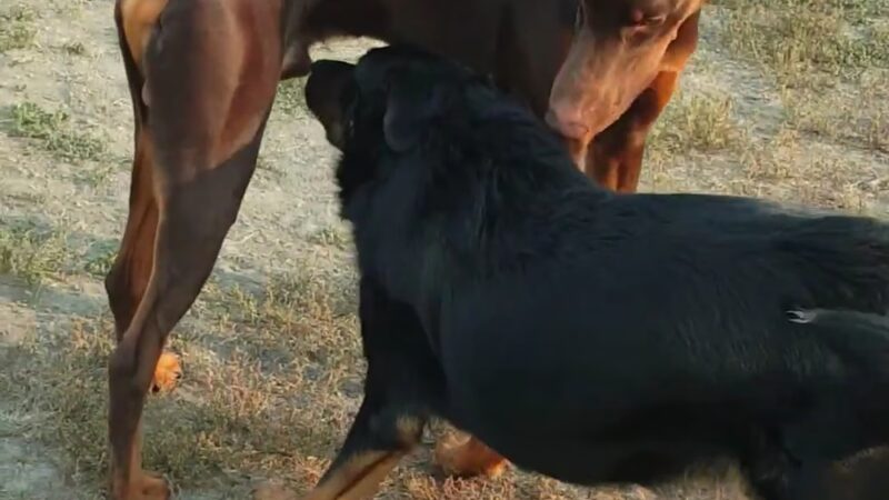 Lincoln Drive Park - Grand Forks, ND