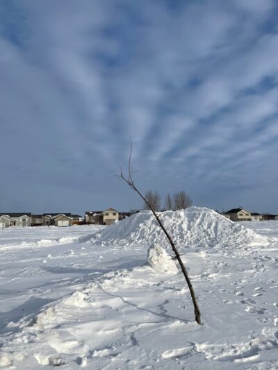 Masonic Park - Grand Forks, ND