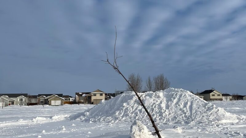 Masonic Park - Grand Forks, ND