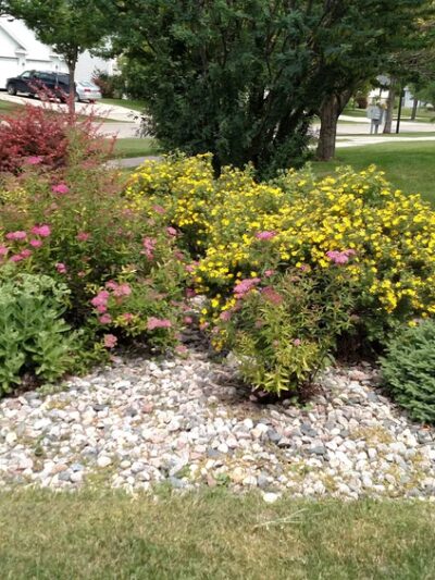 Prime Steel Park - Grand Forks, ND