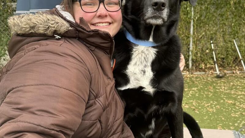 Stay & Play Pet Resort and Spa - Grand Forks, ND