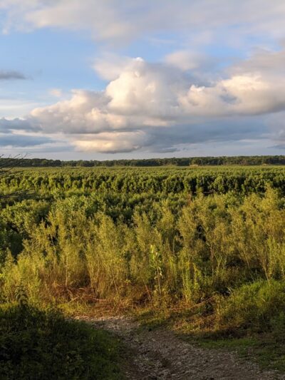 Jester Park - Granger, IA