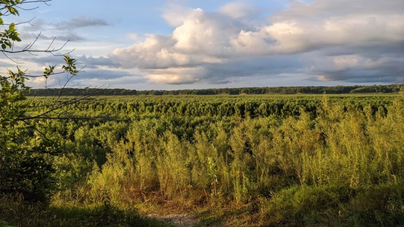 Jester Park - Granger, IA