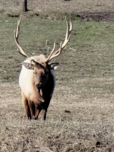 Jester Park - Granger, IA