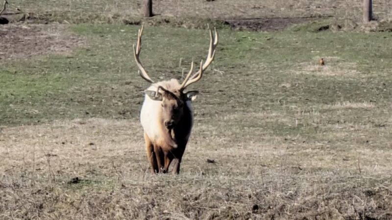 Jester Park - Granger, IA