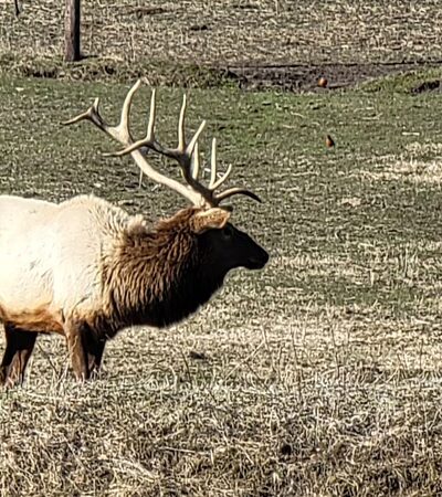 Jester Park - Granger, IA