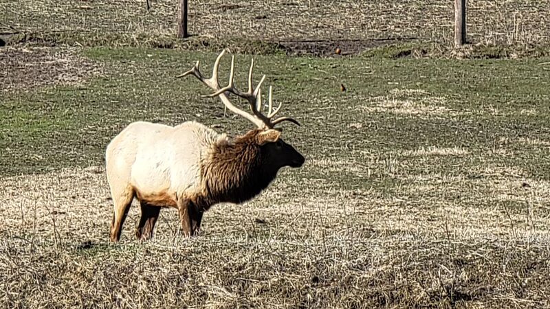 Jester Park - Granger, IA