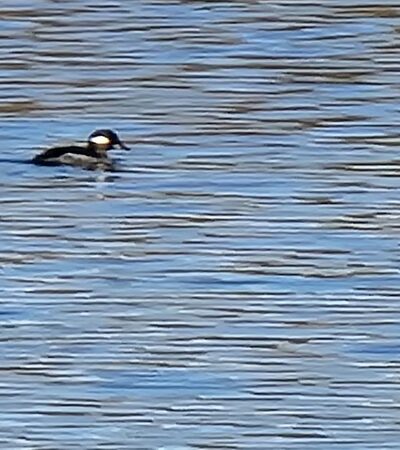 Jester Park - Granger, IA