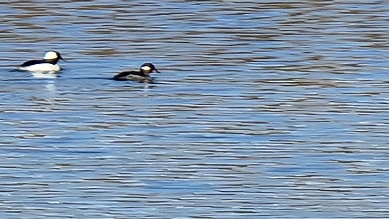 Jester Park - Granger, IA