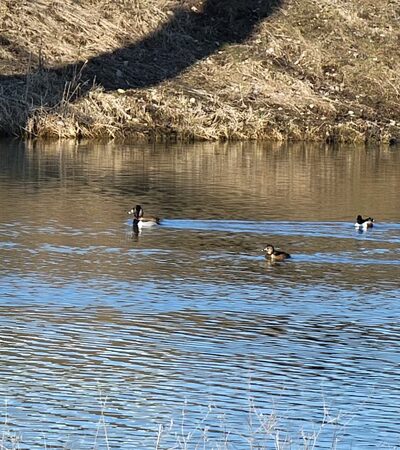 Jester Park - Granger, IA