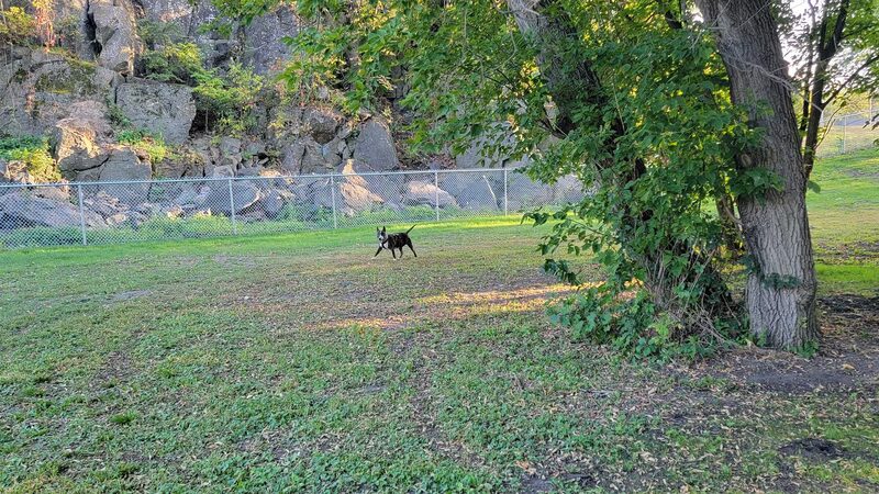 Dog Park - Granite Falls, MN