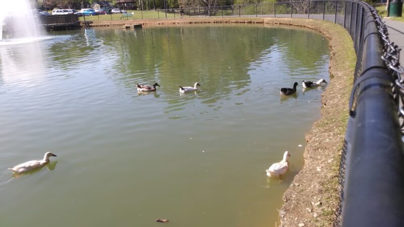 Granite Lake Park - Granite Quarry, NC