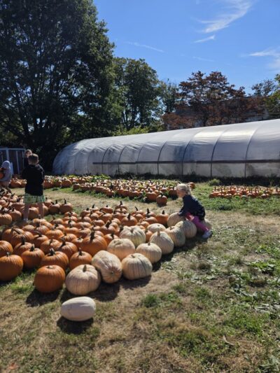Stuart's Farm - Granite Springs, NY