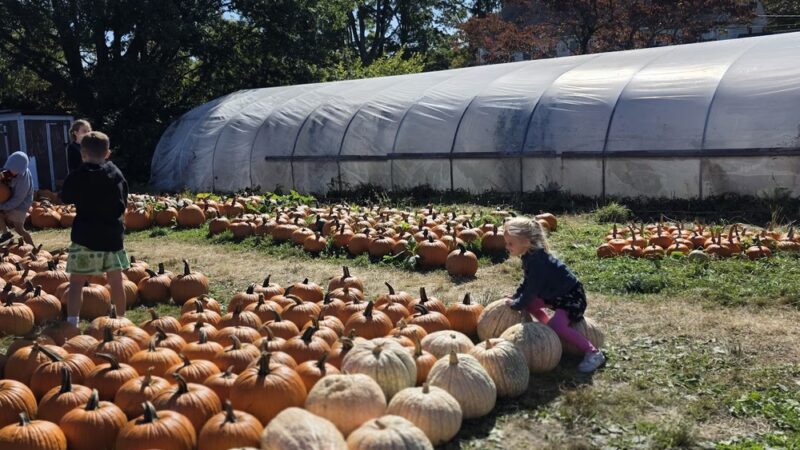 Stuart's Farm - Granite Springs, NY
