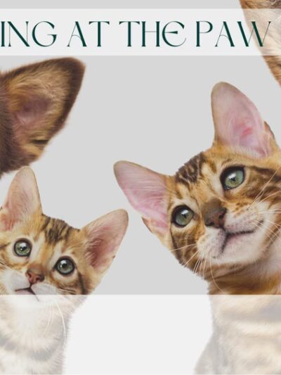 The Paw Haven - Grant, LA