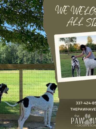 The Paw Haven - Grant, LA