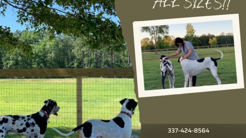 The Paw Haven - Grant, LA