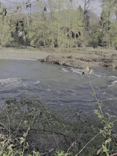 Greenwood Dog Park - Grants Pass, OR