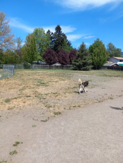Greenwood Dog Park - Grants Pass, OR