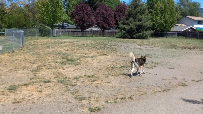 Greenwood Dog Park - Grants Pass, OR