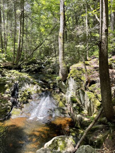 Granville State Forest - Granville, MA
