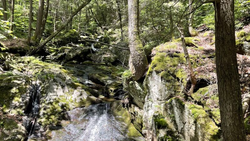 Granville State Forest - Granville, MA