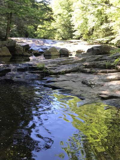 Granville State Forest - Granville, MA