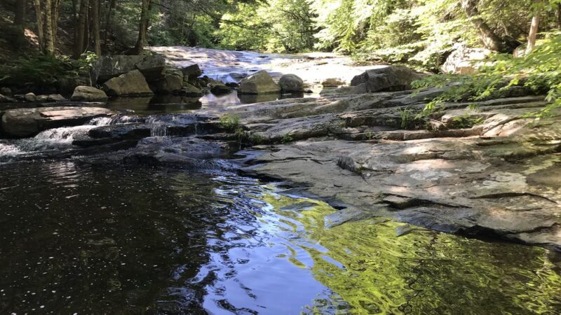 Granville State Forest - Granville, MA