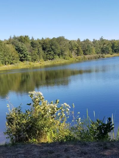 Granville State Forest - Granville, MA