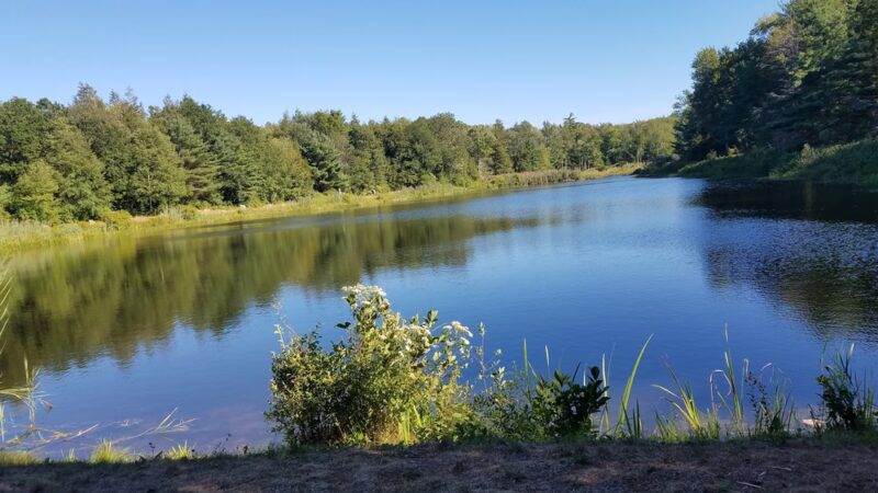 Granville State Forest - Granville, MA