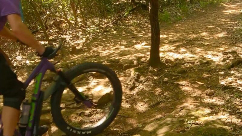 Horseshoe Trail - Grapevine, TX