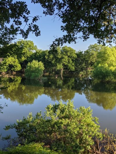 Horseshoe Trail - Grapevine, TX