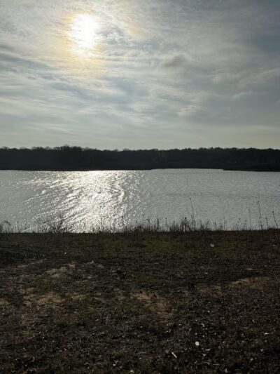Horseshoe Trail Bench - Snakey Ln. - Grapevine, TX
